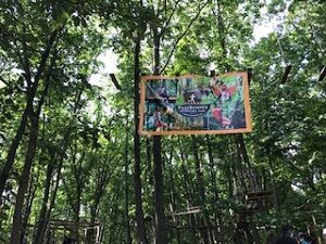 treerunner072520-1