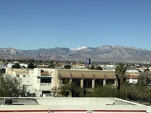 IMG_0352