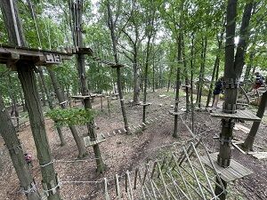 072421-tree runner-2