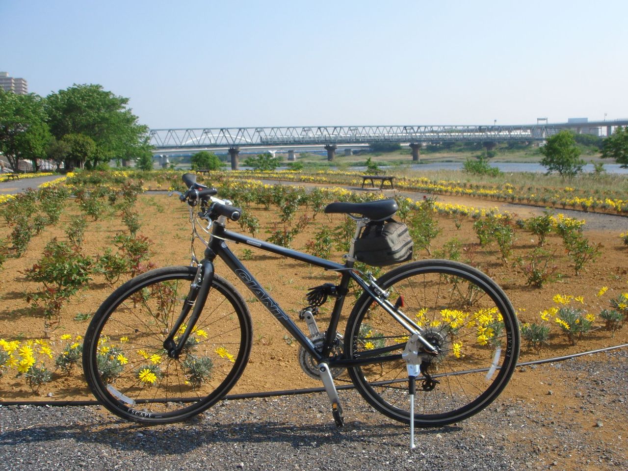相模川 新昭和橋 三井大橋 足跡 相模川 新昭和橋 三井大橋 足跡