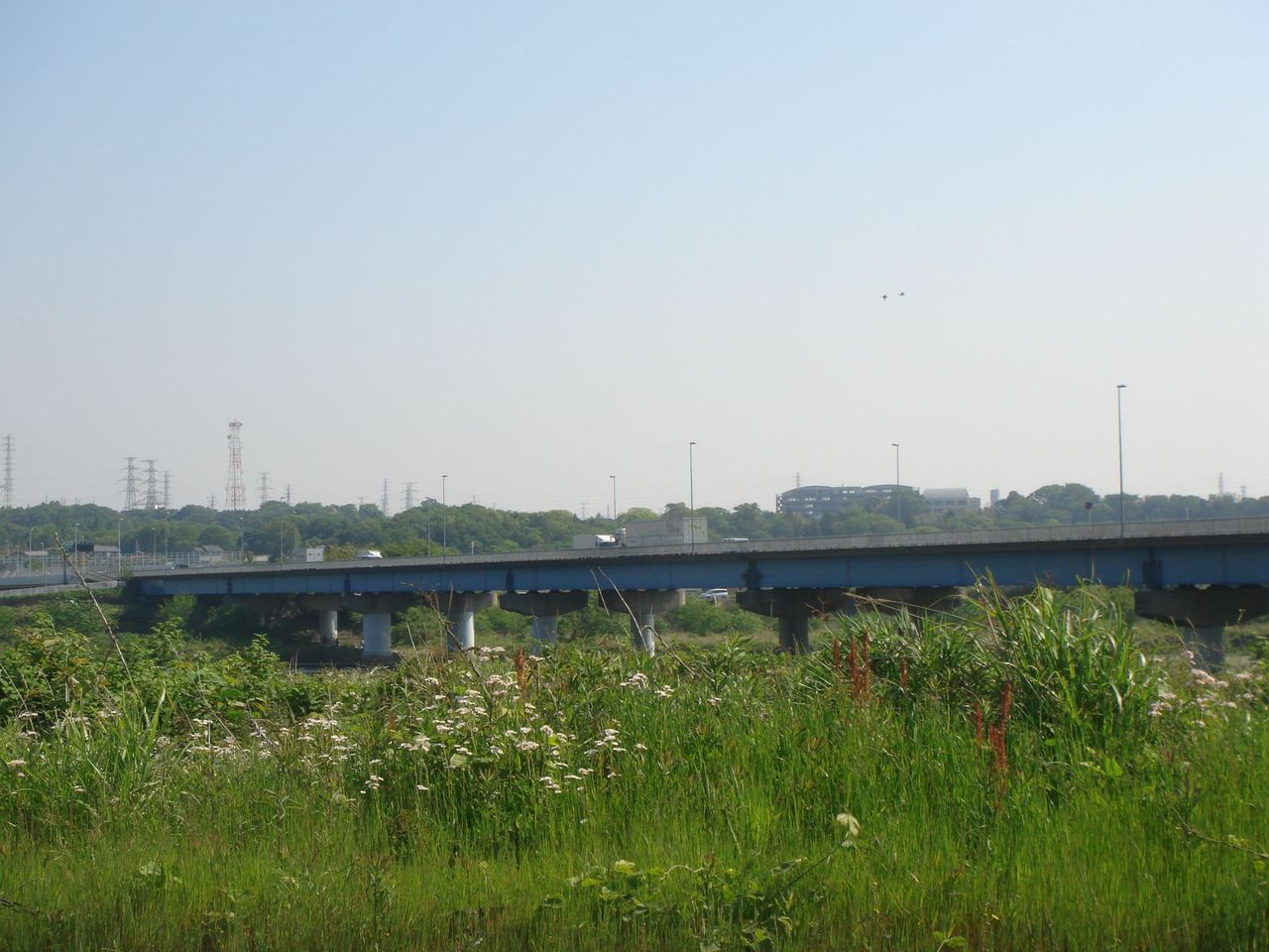 相模川 新昭和橋 三井大橋 足跡 相模川 新昭和橋 三井大橋 足跡