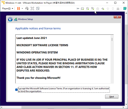 win11b