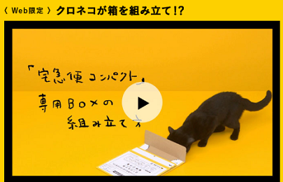 宅急便にゃんパクト 黒翼猫のコンピュータ日記 2nd Edition