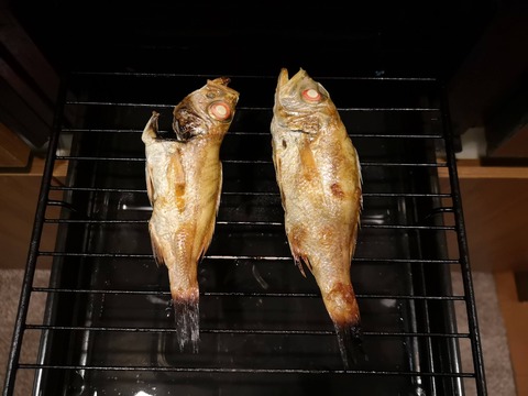 のどぐろのじっくり塩焼き (10)