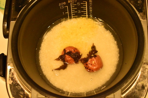 梅生姜ご飯 (2)