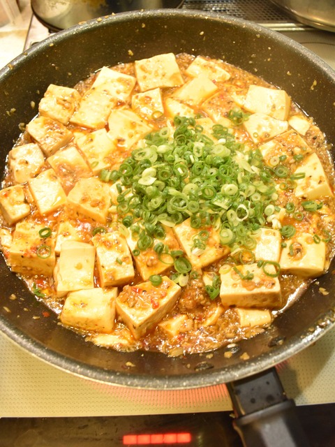 肉無し麻婆豆腐 (9)