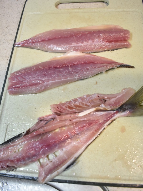 大き目アジフライ (4)