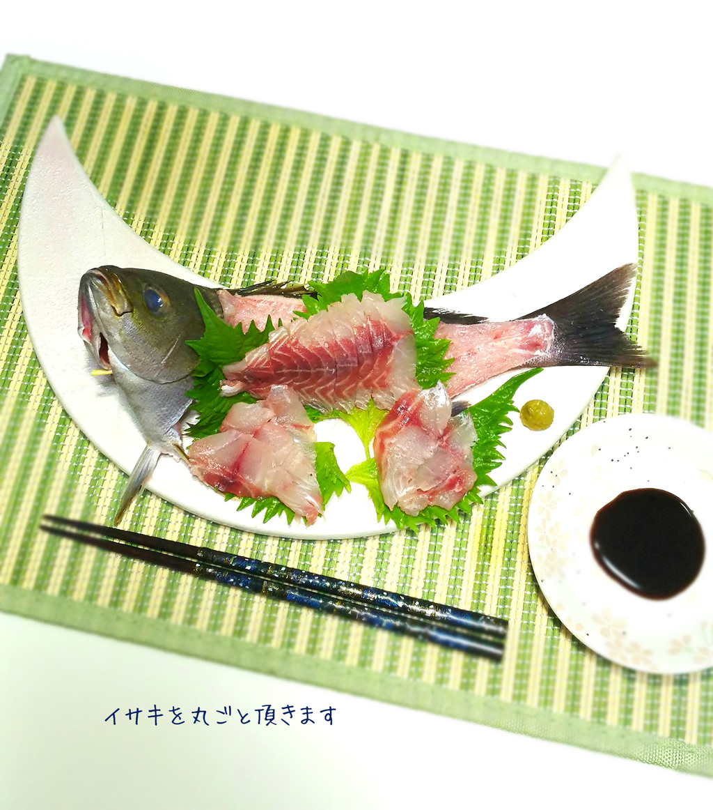 一匹丸ごと使って豪快に イサキの姿造り 気まま料理で レシピとか Powered By ライブドアブログ