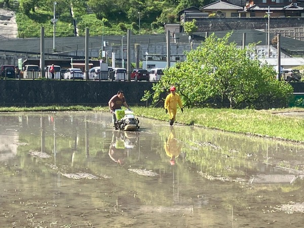 20250505_田植え (25)