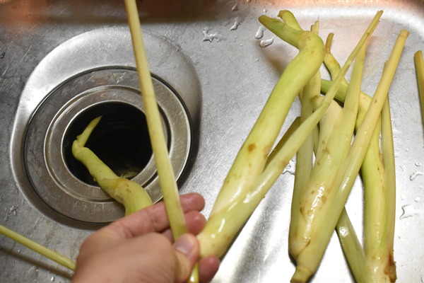 まこも竹の中華漬け (5)
