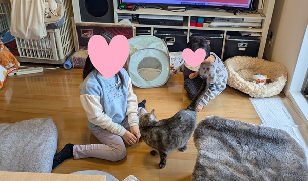 20260211_パーティー (1)