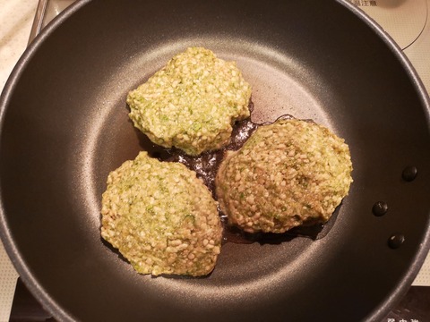 オクラバーグ (7)