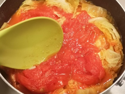 たっぷりキャベツと牛肉のトマト煮込み (6)
