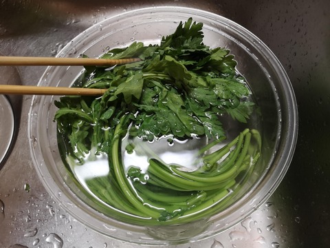 春菊のシャキシャキお浸し (2)