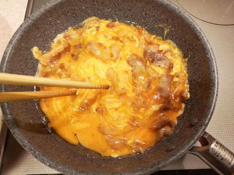 和風天津飯 (6)