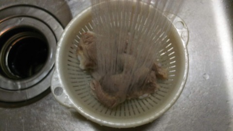 DSssC_8353 (4)