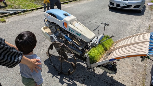 20250505_田植え (4)