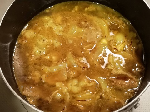 豚カレー丼 (6)