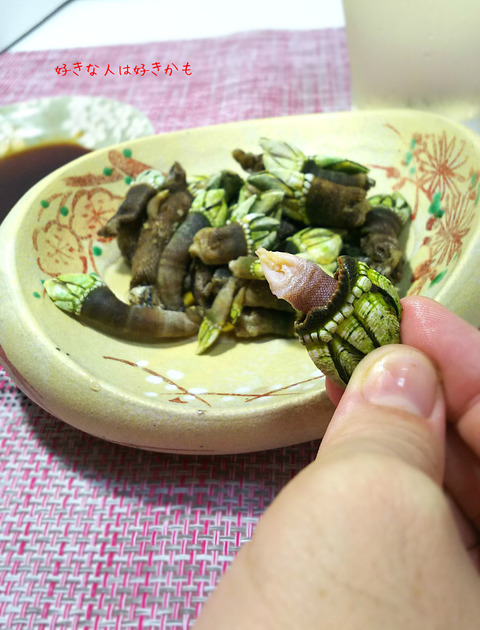 DSeeC_0275 (1)