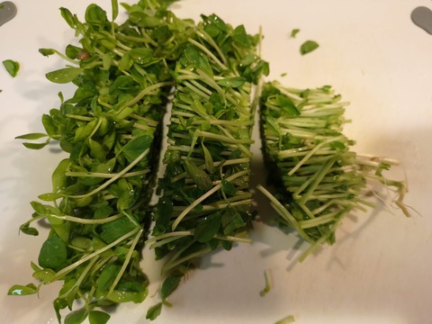豆苗と干しエビの塩炒め (2)