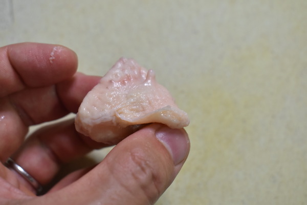 ぼんじり網焼き (3)