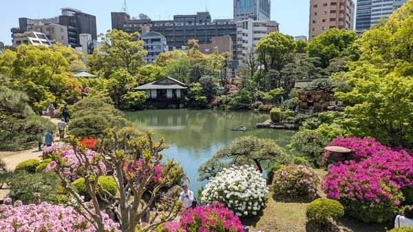 20250427_相楽園 (11)