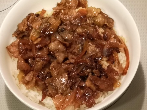 アボカド豚丼 (9)