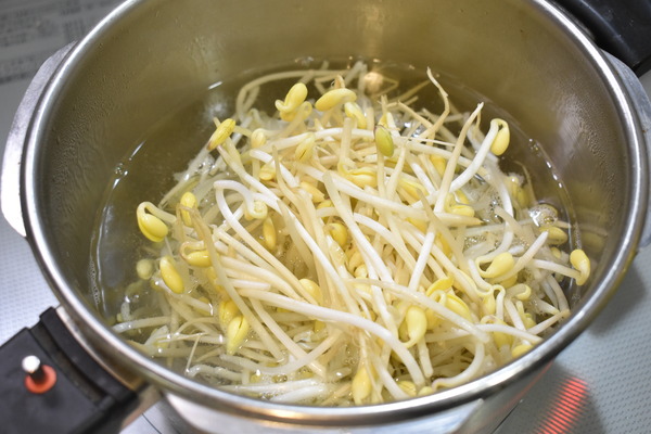 豆もやしとねぎのピリ辛和え (3)