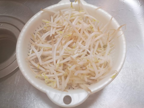 もやしとねぎのからし和え (3)