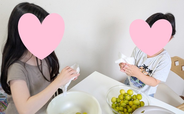 2026070_梅仕事 (2)