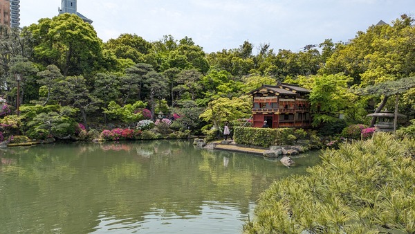 20260425_相楽園 (08)