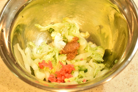 白菜の紅味噌しょうが (6)