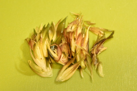 薬味サンドイッチ (2)