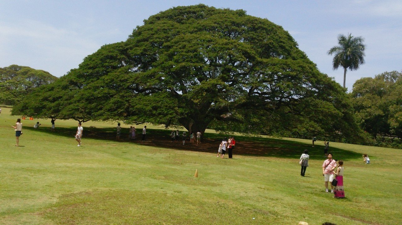 20150430_7
