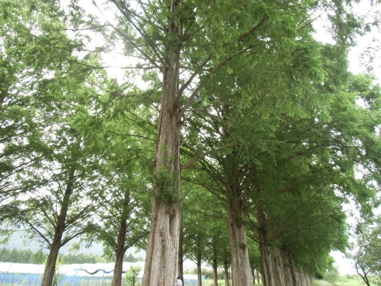 20140608_9