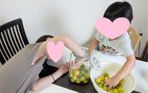 2026070_梅仕事 (3)
