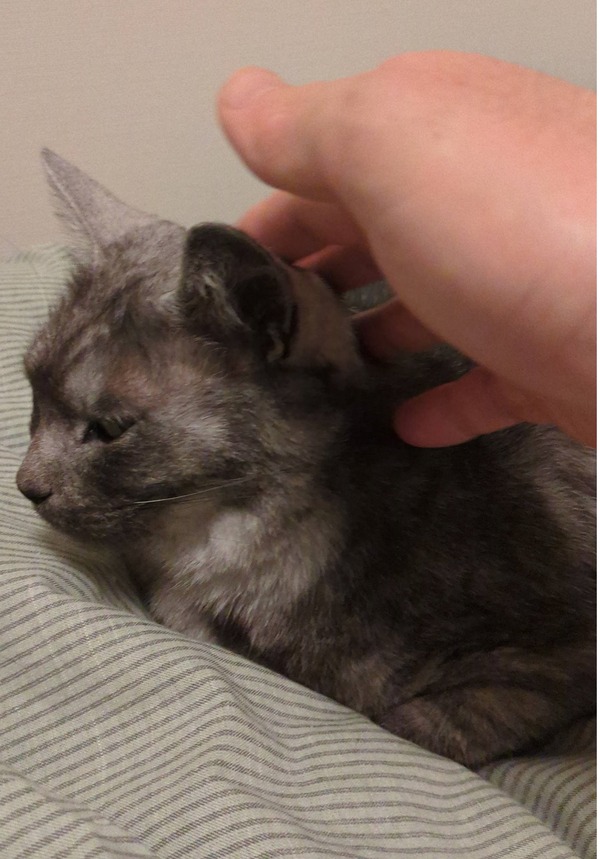 20260211_パーティー (10)