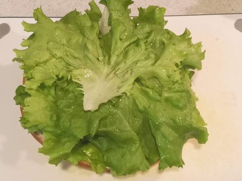 ブールサンドイッチ (10)