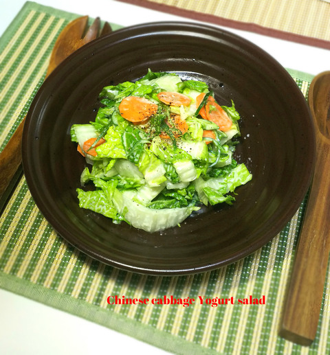 DyySC_2305 (1)