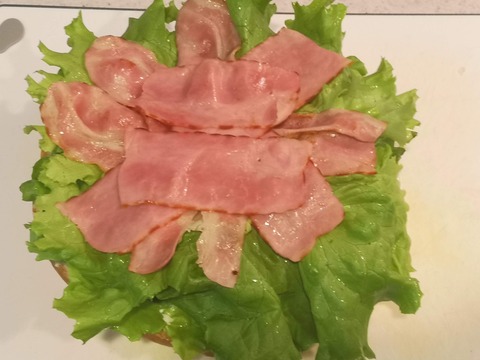 ブールサンドイッチ (11)