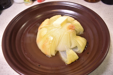 レンチン新玉 (5)