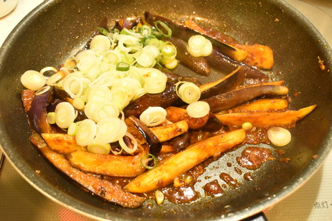 肉なし麻婆茄子 (7)
