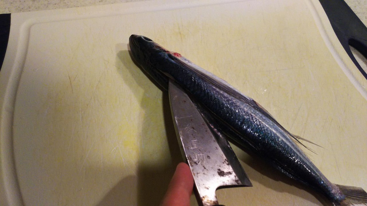 長い羽が目を惹く 飛び魚の一夜干し 気まま料理で レシピとか Powered By ライブドアブログ 長い羽が目を惹く 飛び魚の一夜干し 気まま料理で レシピとか Powered By ライブドアブログ