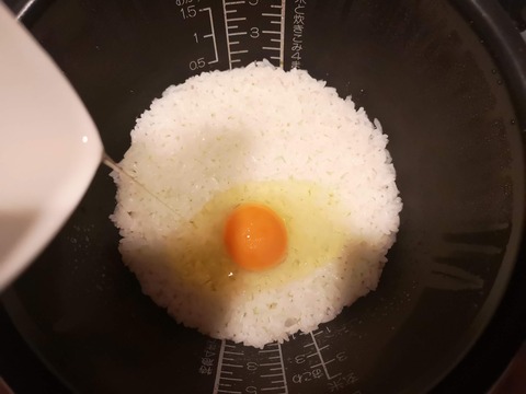 炊き玉ご飯 (2)