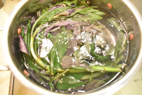 金時草ときゅうりの和え物 (3)