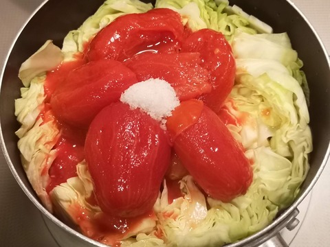 たっぷりキャベツと牛肉のトマト煮込み (5)