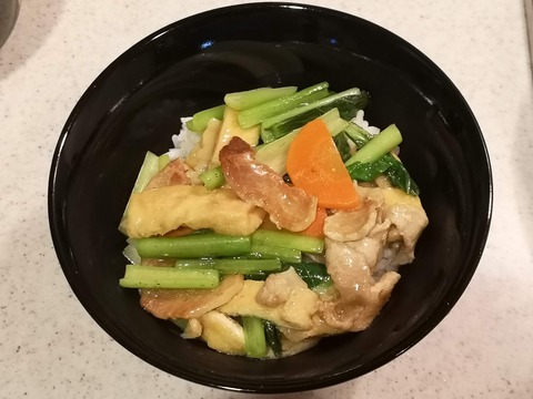 和風あんかけ丼 (9)