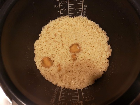 醤油ご飯 (3)