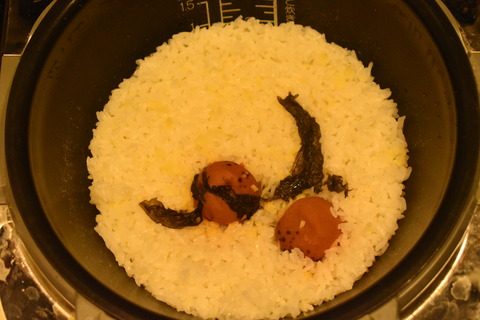 梅生姜ご飯 (3)