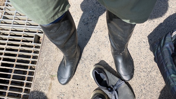 20250505_田植え (9)